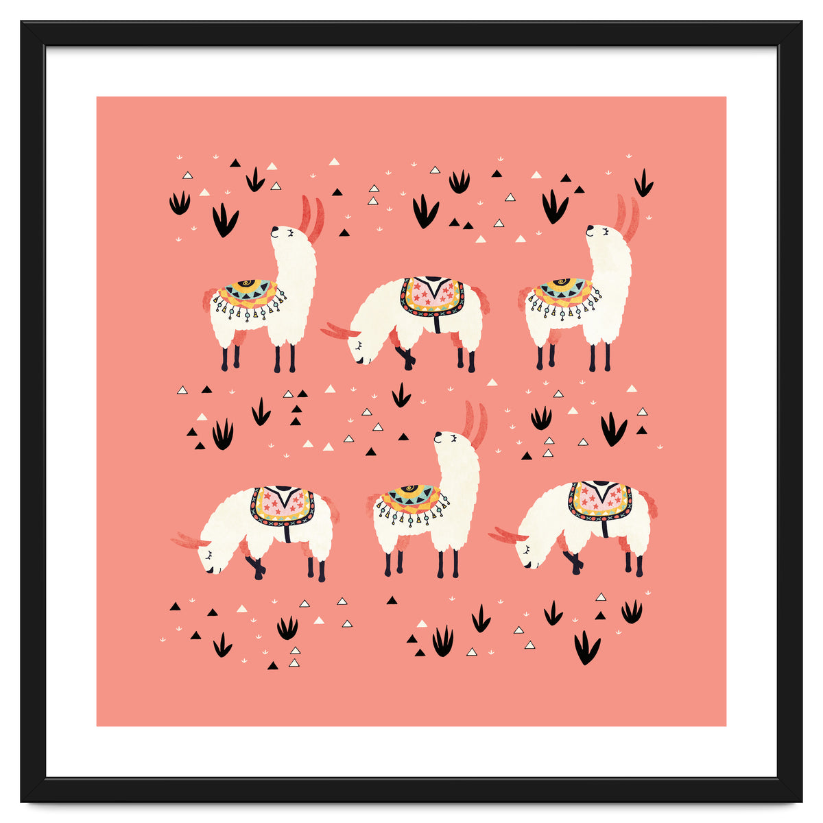White Llamas In Pink Desert