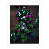 Beautiful Flower Garden (Print Only) thumbnail