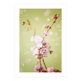 Springflowers (Print Only) thumbnail