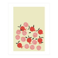 Pomegranate Illustration (Print Only)