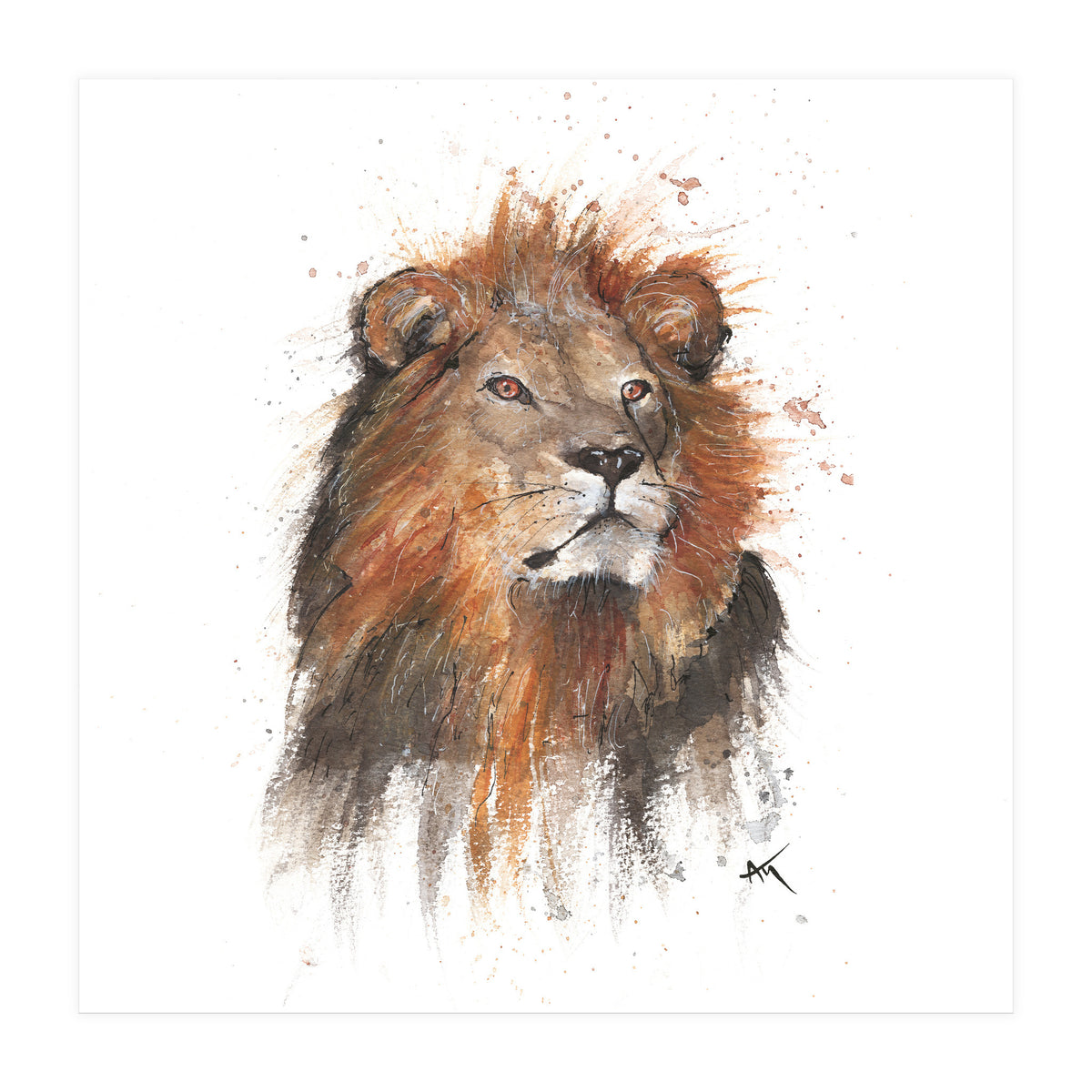 Lion - Wildlife Collection (Print Only)