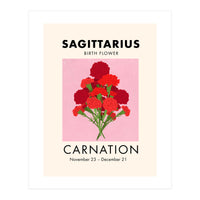 Sagittarius Birth Flower Carnation  (Print Only)