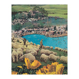 Sheep Farm (Print Only) thumbnail