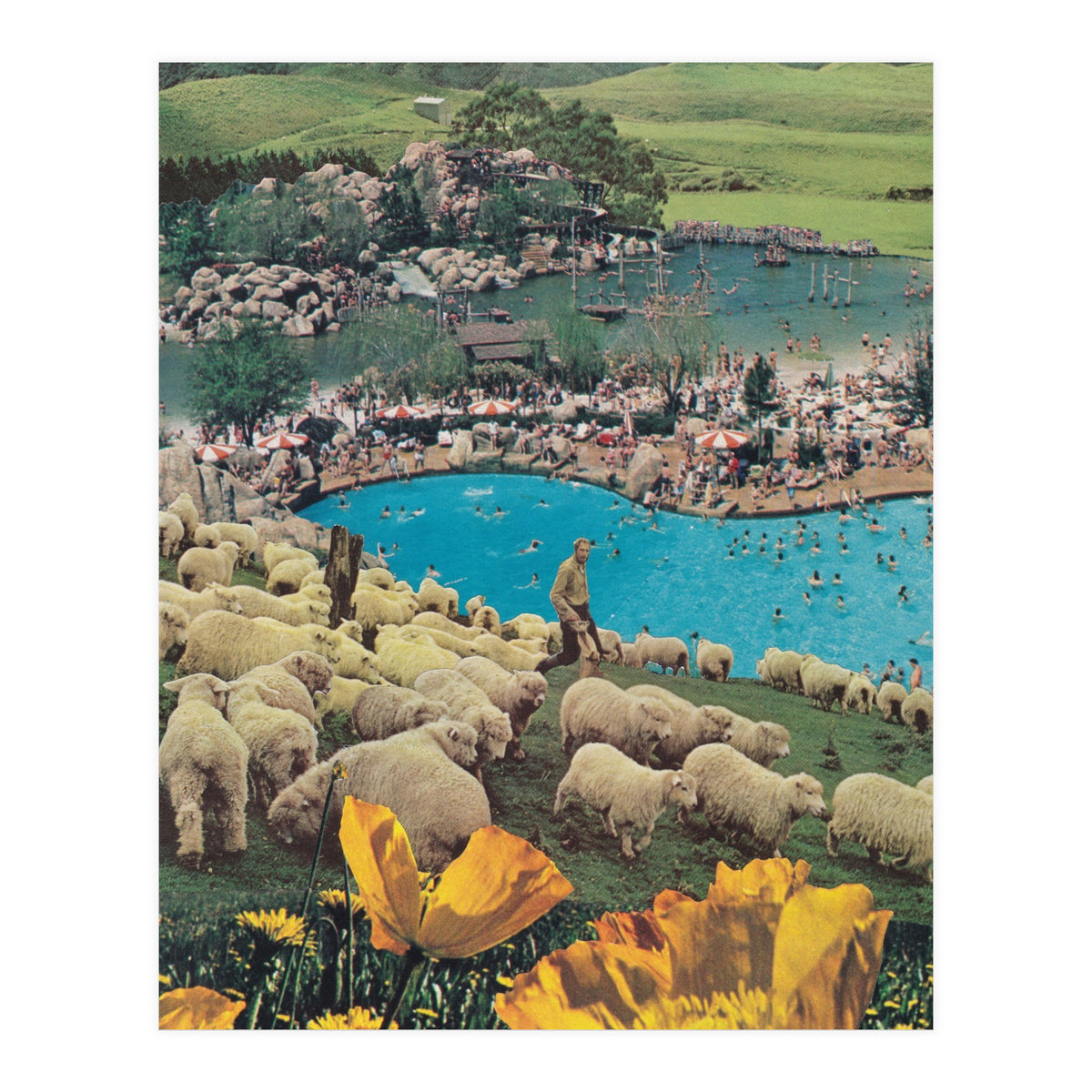 Sheep Farm (Print Only)