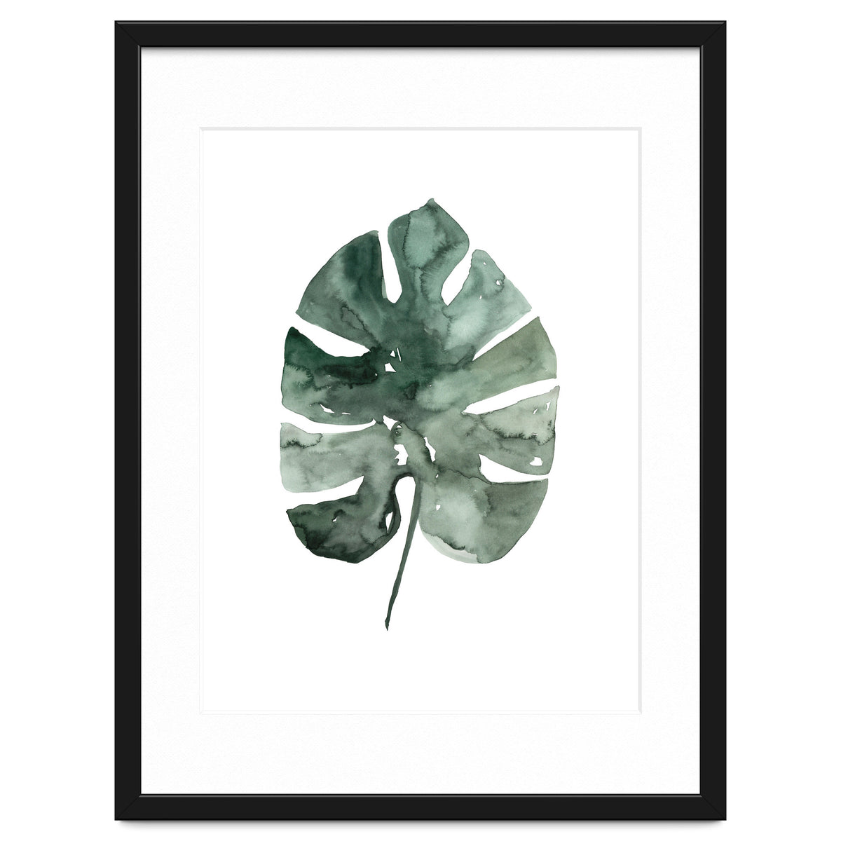 Botanical Illustration Monstera Leaf