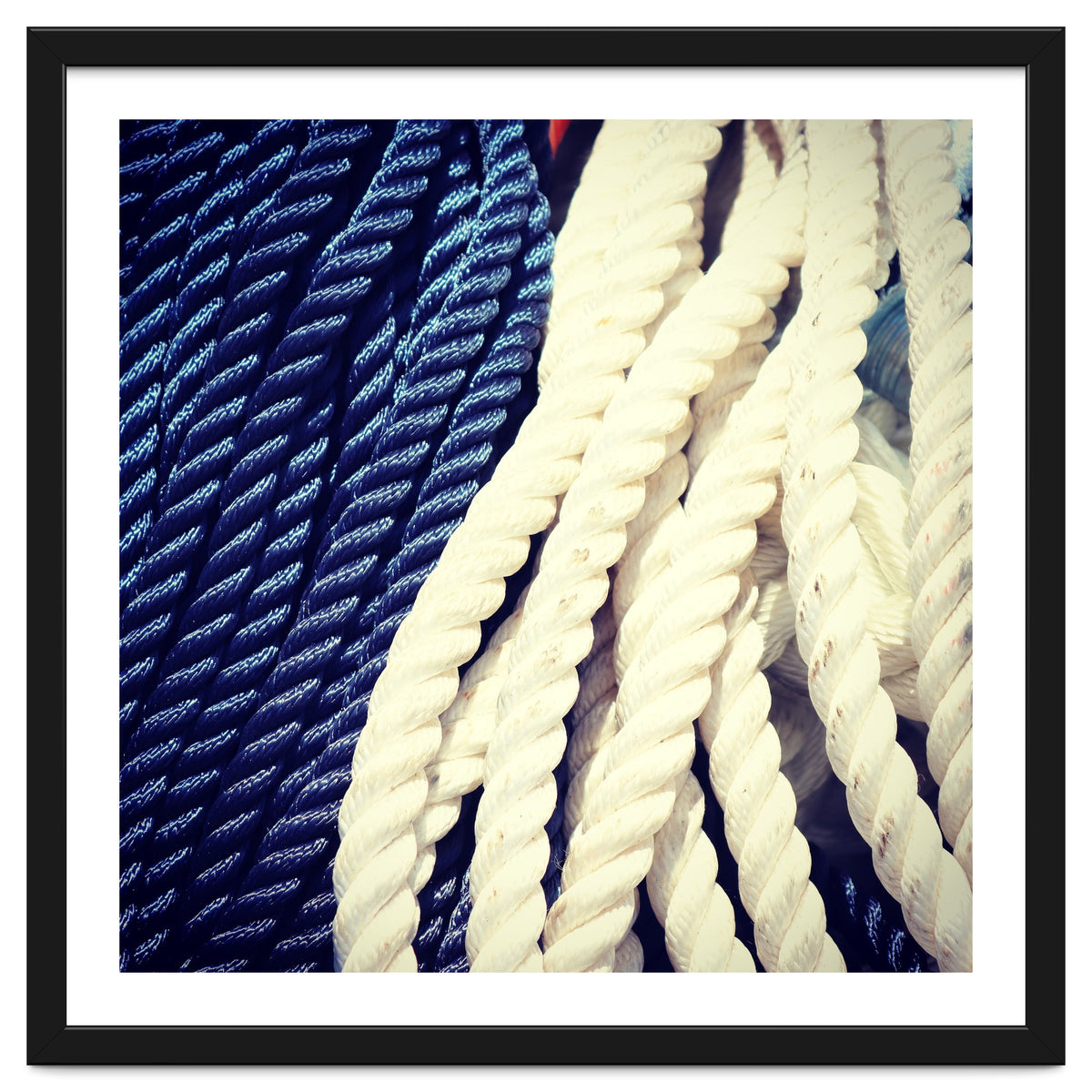 Blue and white fishing rope