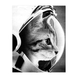Astrocat (Print Only) thumbnail
