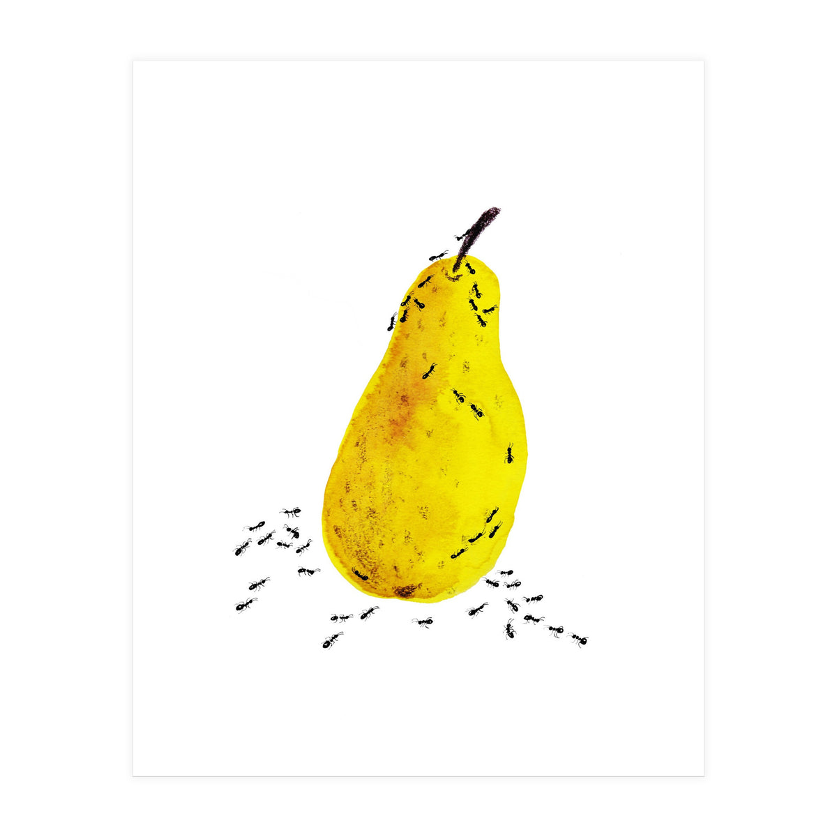 Funtime (Print Only)