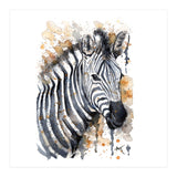 Zebra - Wildlife Collection (Print Only) thumbnail