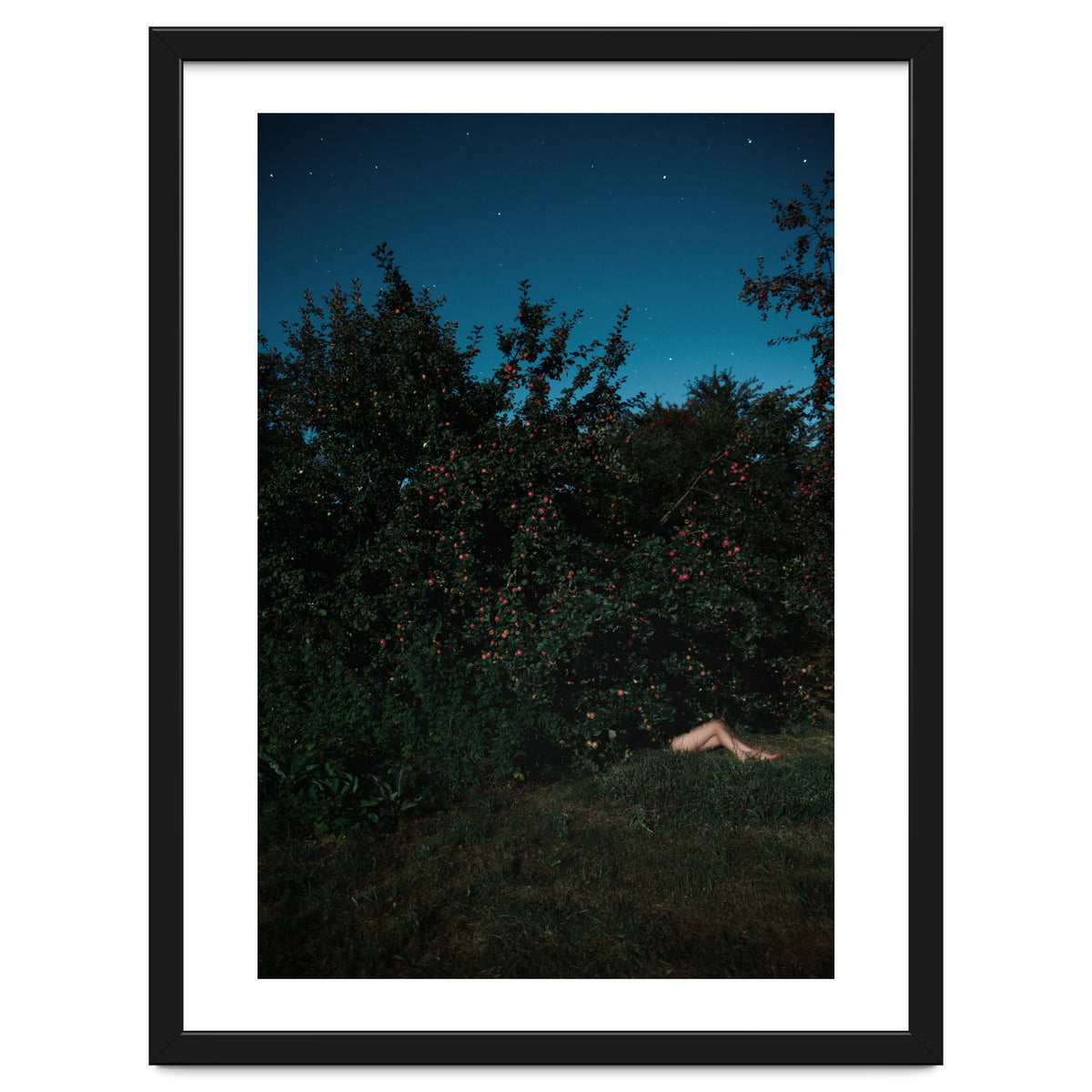 The Cider House Legs