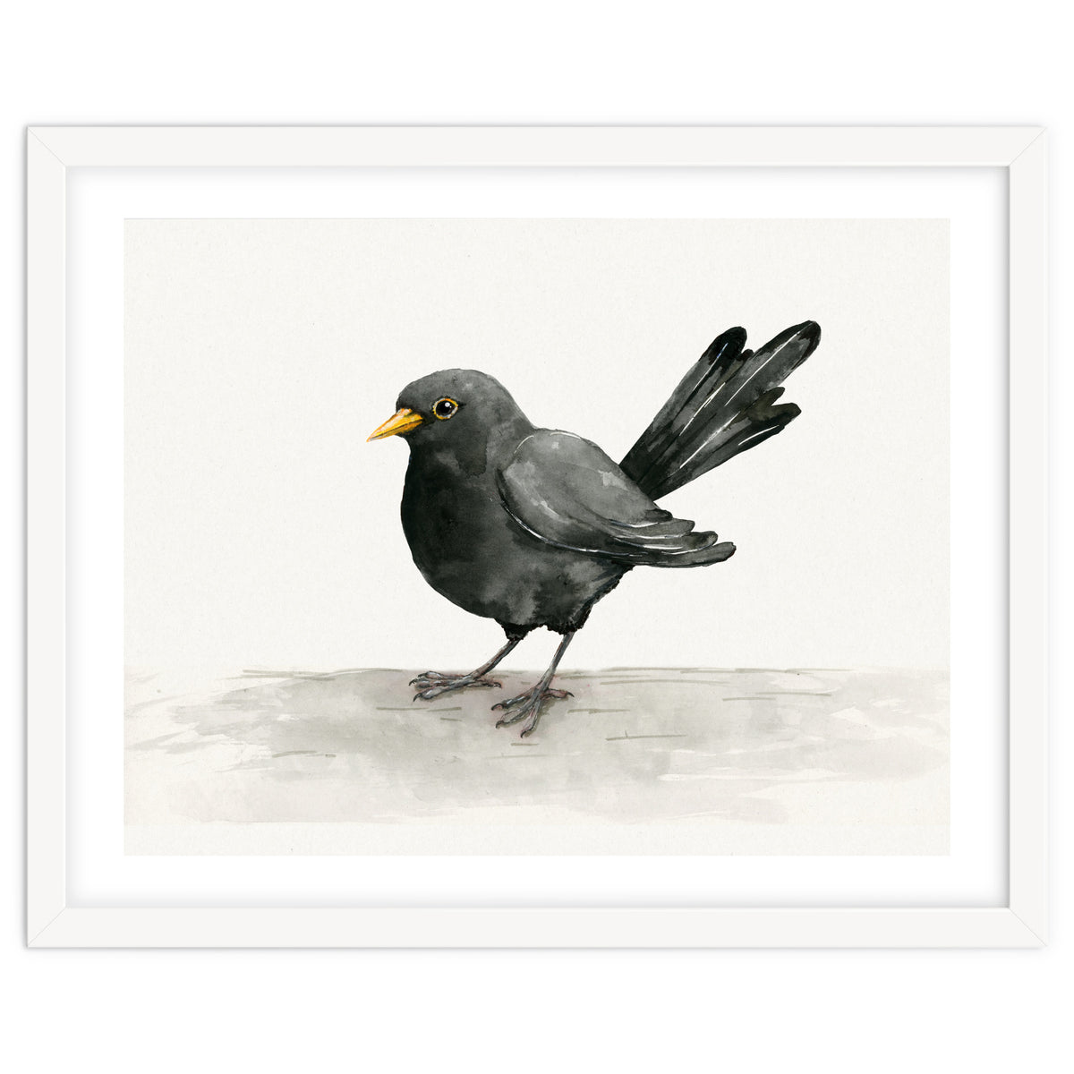 Blackbird ink drawing