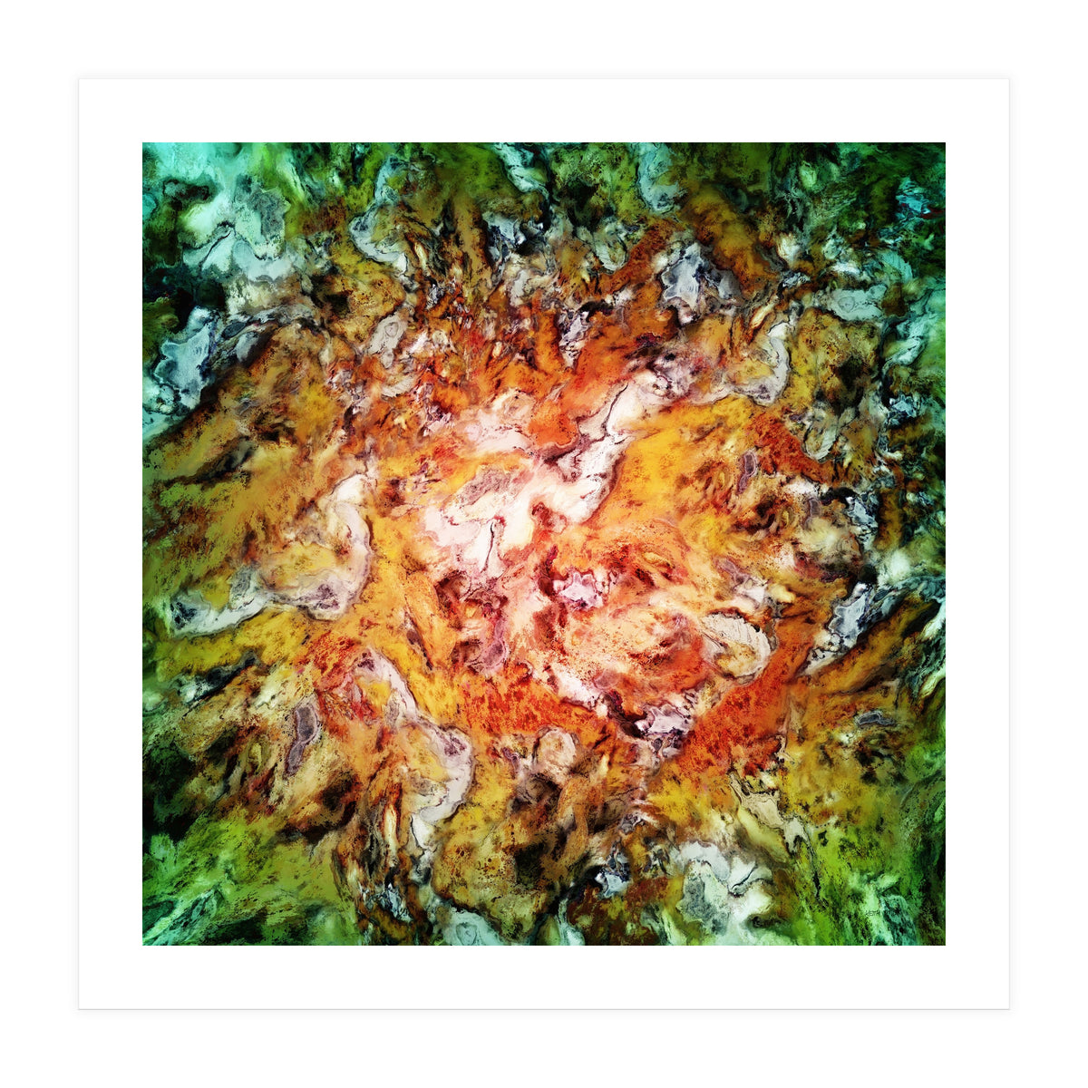 The Natural Light (Print Only)