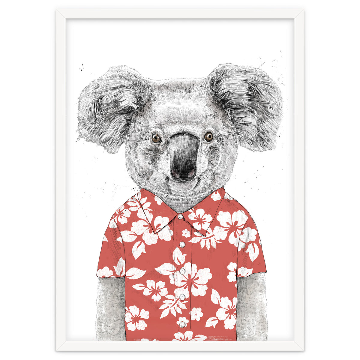 Summer Koala