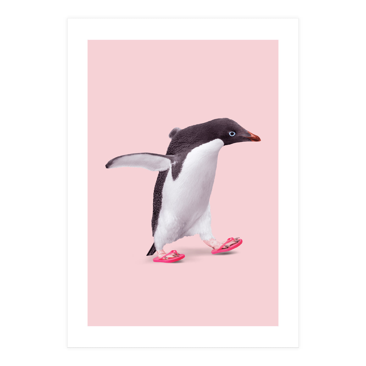 Flip Flop Penguin (Print Only)