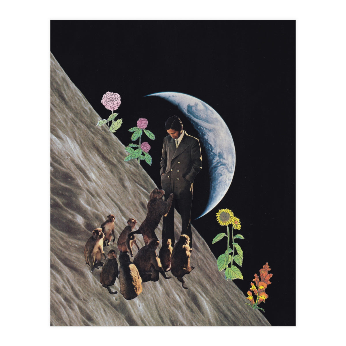 Weird Dream (Print Only)