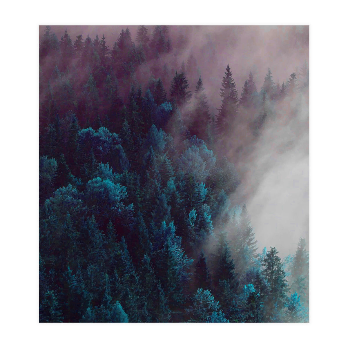 Anywhere You Go (Print Only)