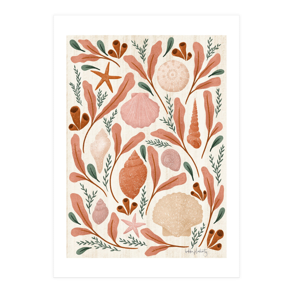 Shells Collection (Print Only)