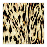 The Tiger Side (Print Only) thumbnail
