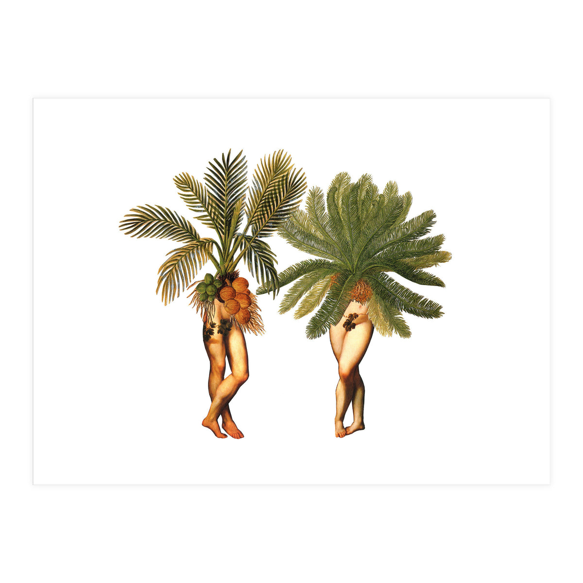 The Palms (Print Only)