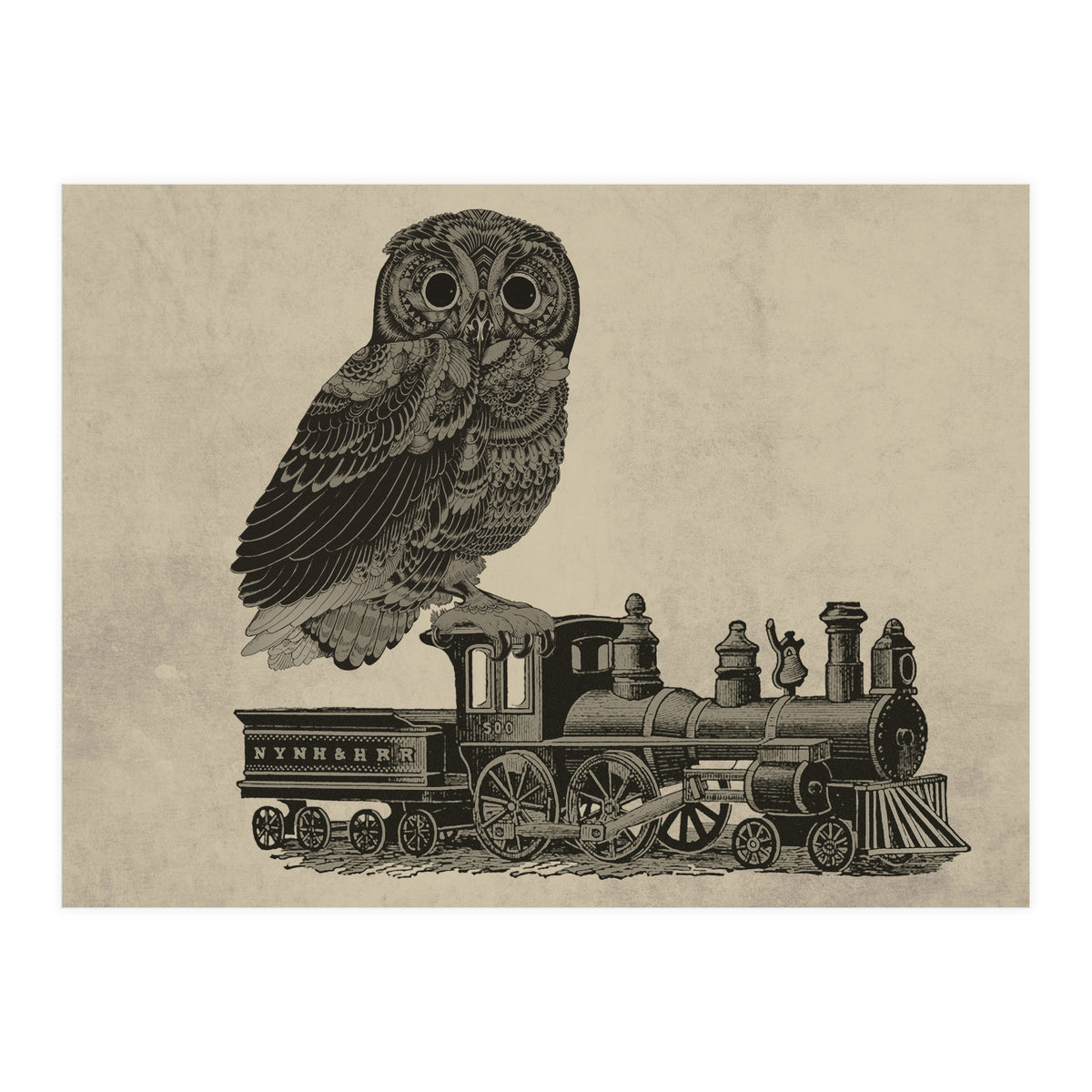 civetta (Print Only)