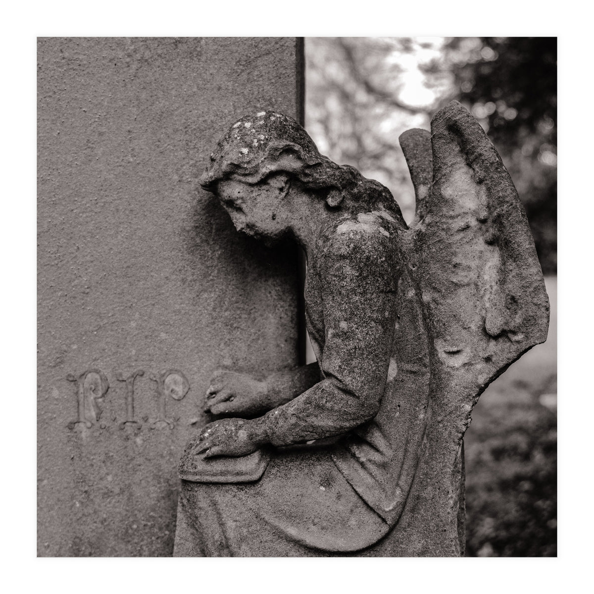 Rest in Peace (Print Only)