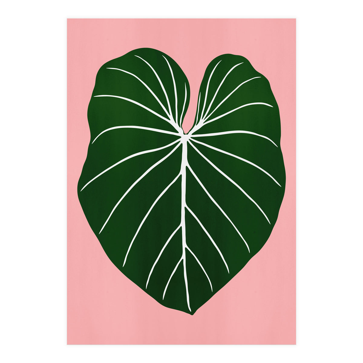 Leaf 05 (Print Only)