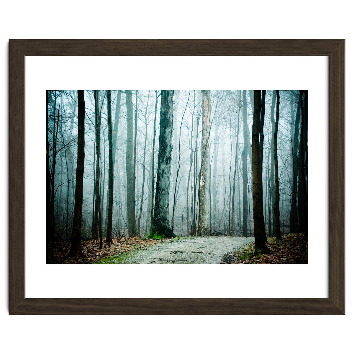 Gather Up Your Dreams