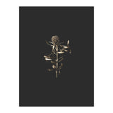 Golden Botanicals (Print Only) thumbnail
