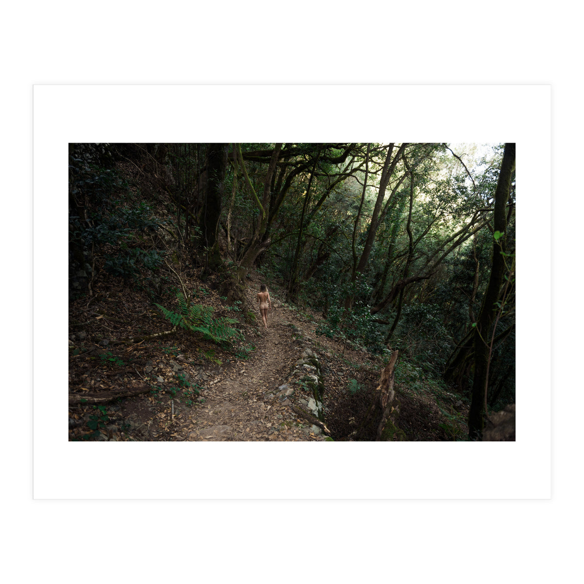 Wild Wild Woods (Print Only)