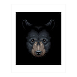 Shadows grizzly (Print Only) thumbnail