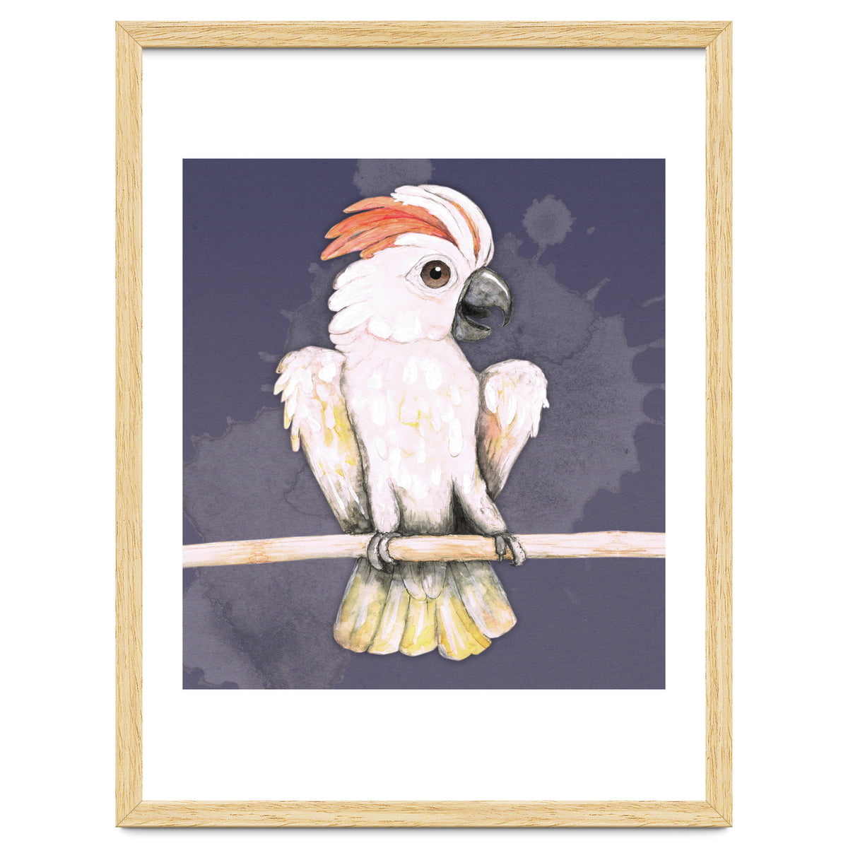 Salmon-crested cockatoo