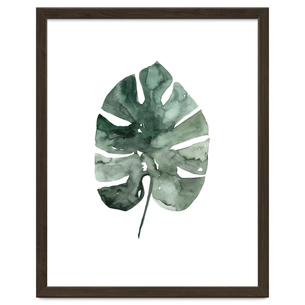 Botanical Illustration Monstera Leaf