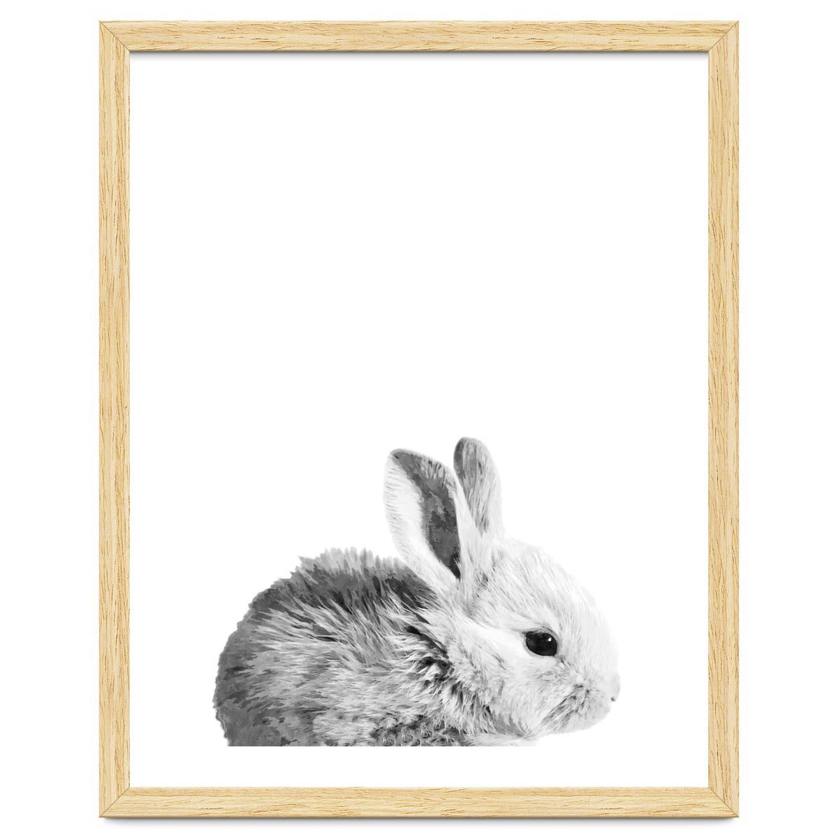 Black and White Bunny Portrait