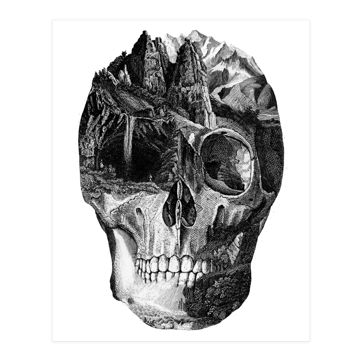 The Final Adventure (Print Only)