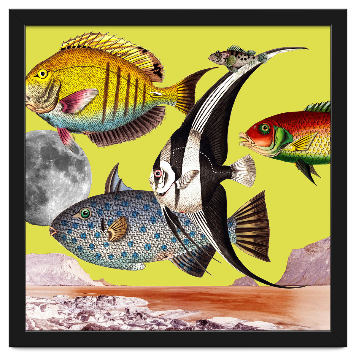 Plenty Of Fish In The Sea Yellow