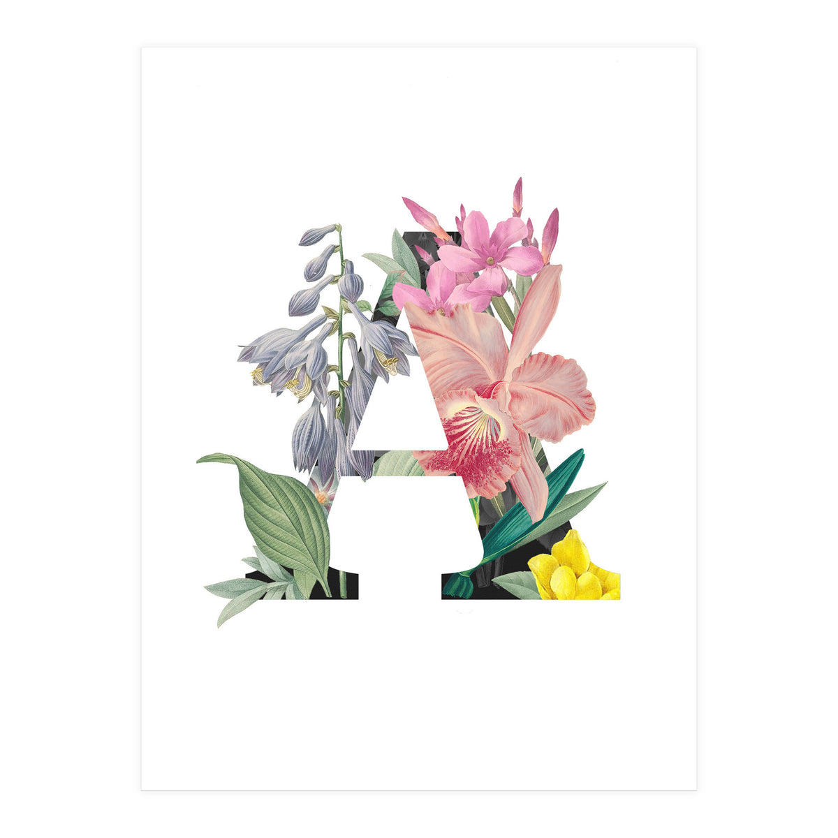 Letter A (Print Only)