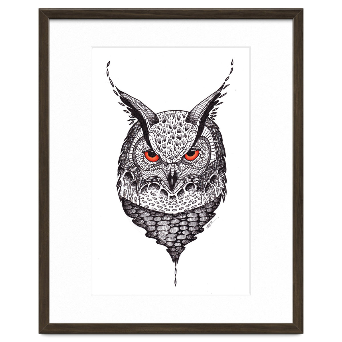 Owl