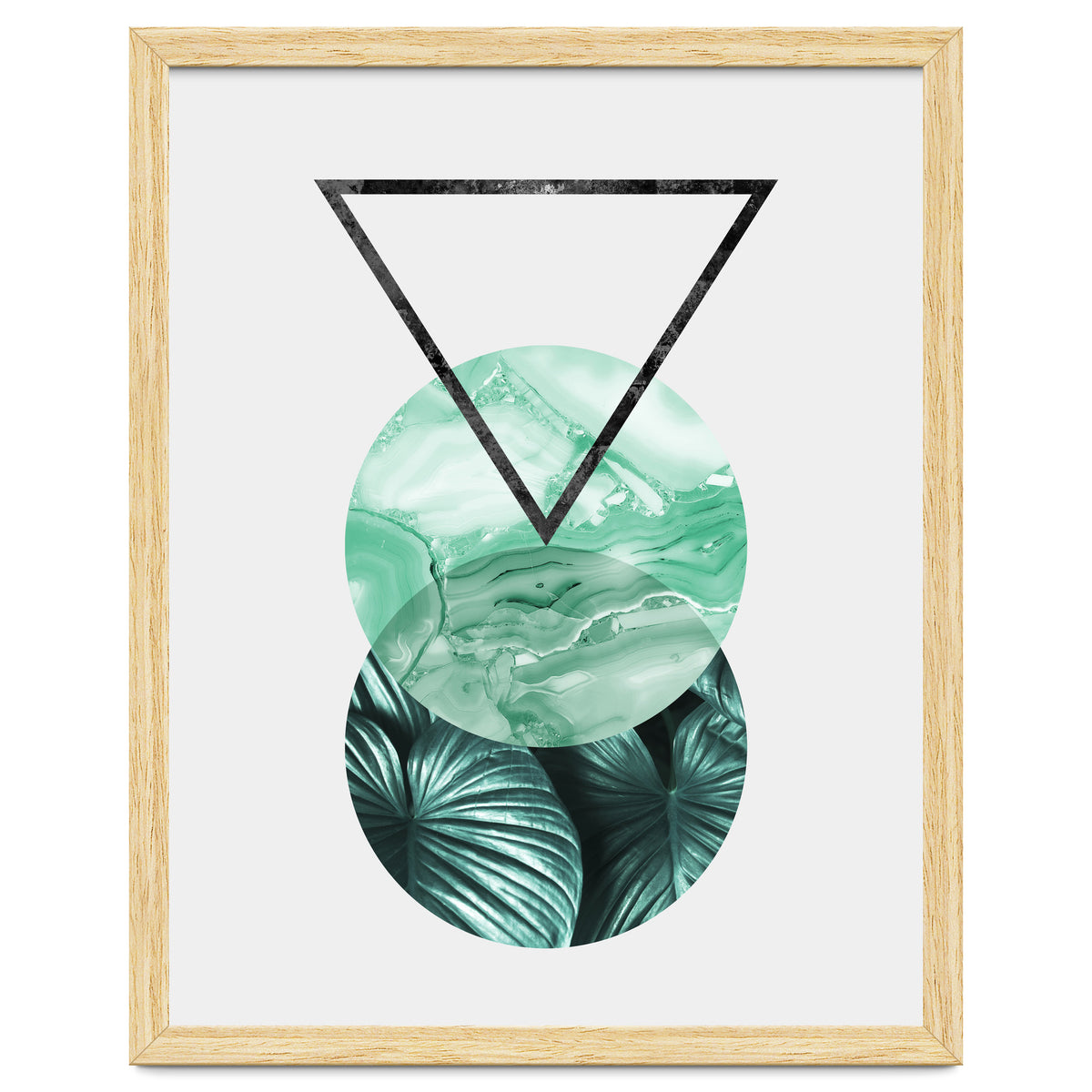 Botanical and geometric II