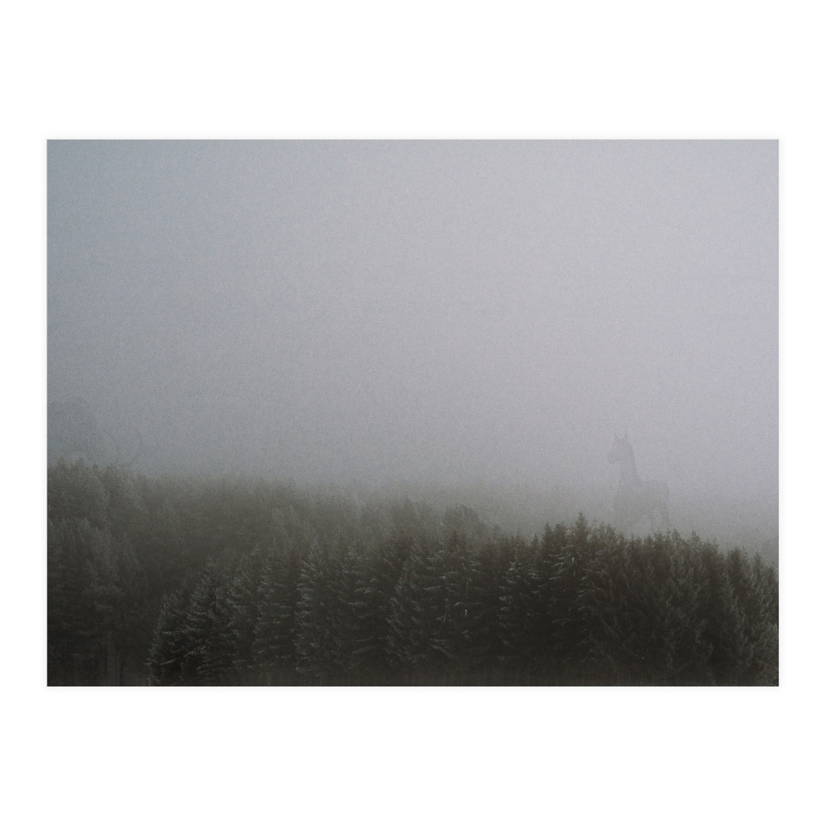 The Mist (Print Only)