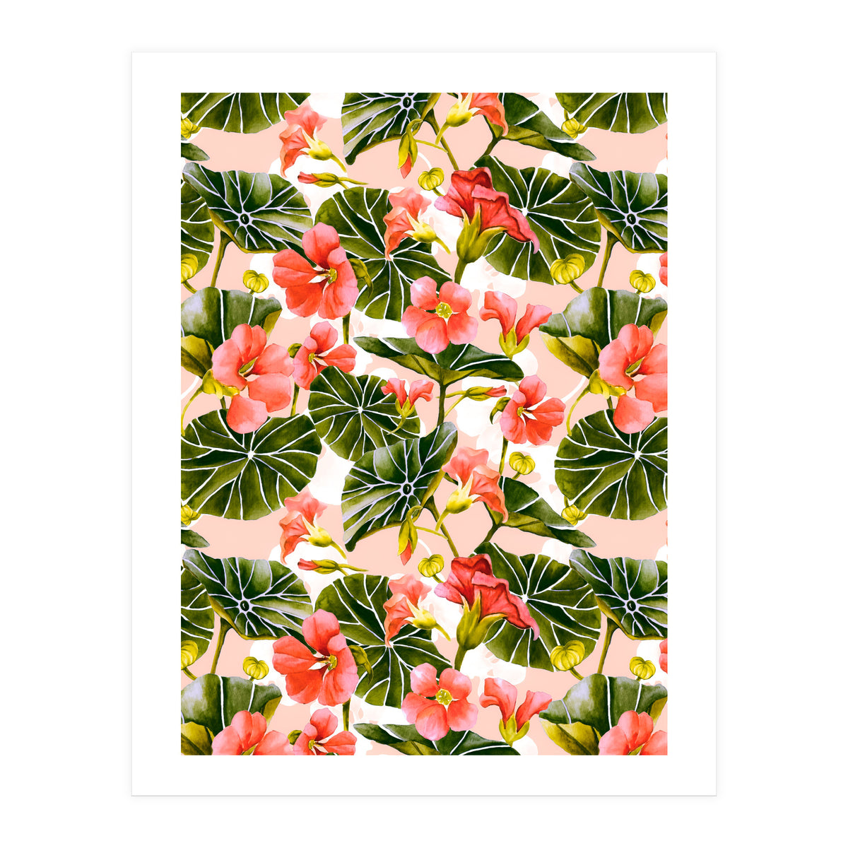 Nasturtiums watercolor 03 (Print Only)