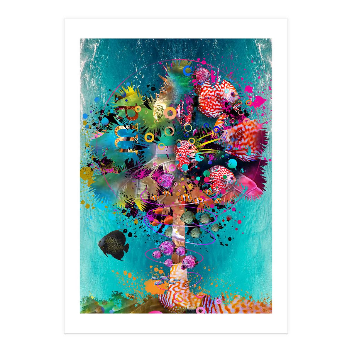 Surf Palm 02 Halfed Large2 (Print Only)