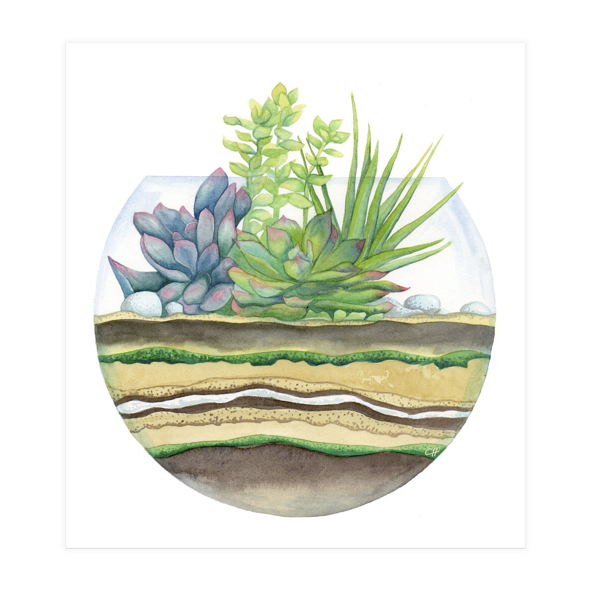 A Little Green Terrarium (Print Only)
