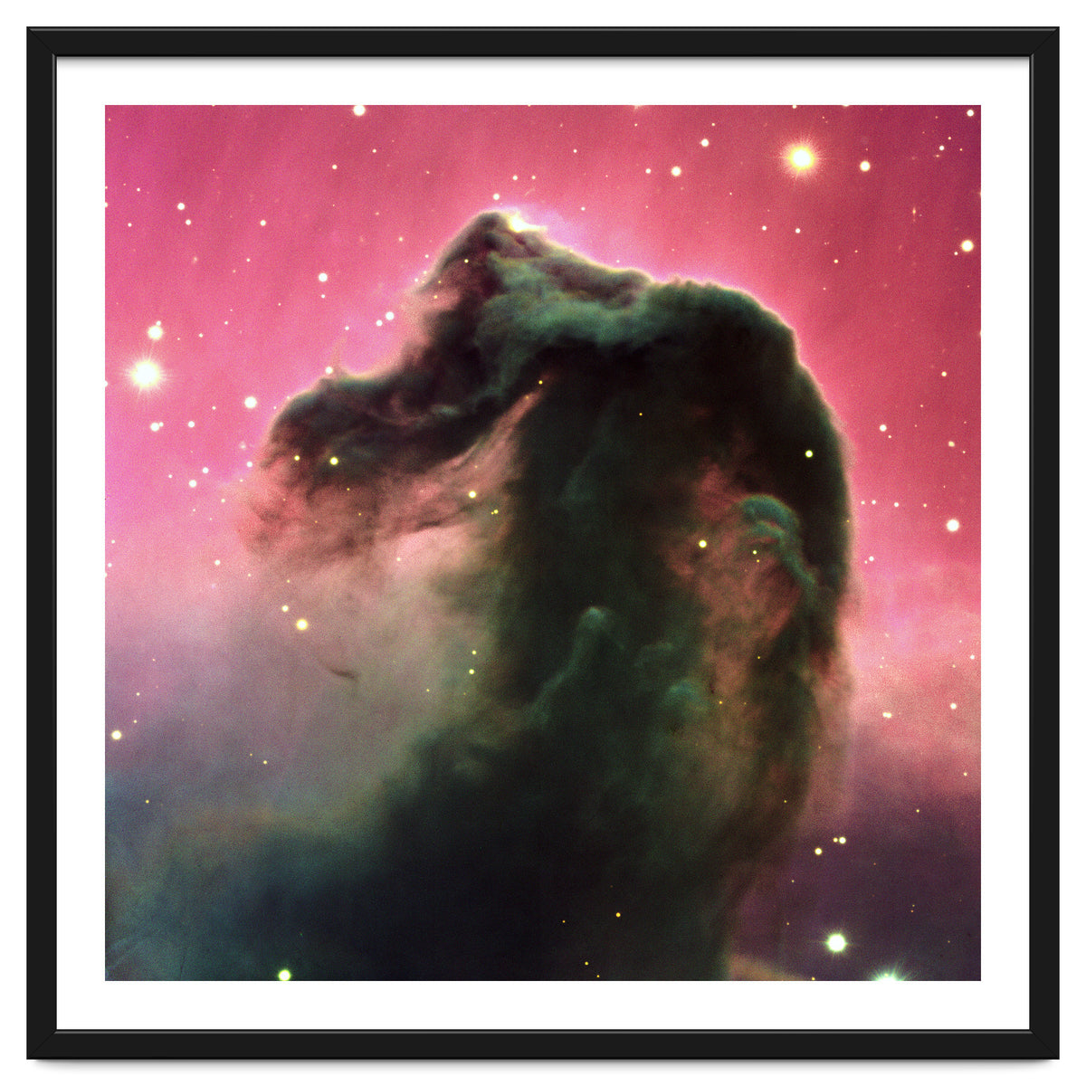 The Horsehead Nebula