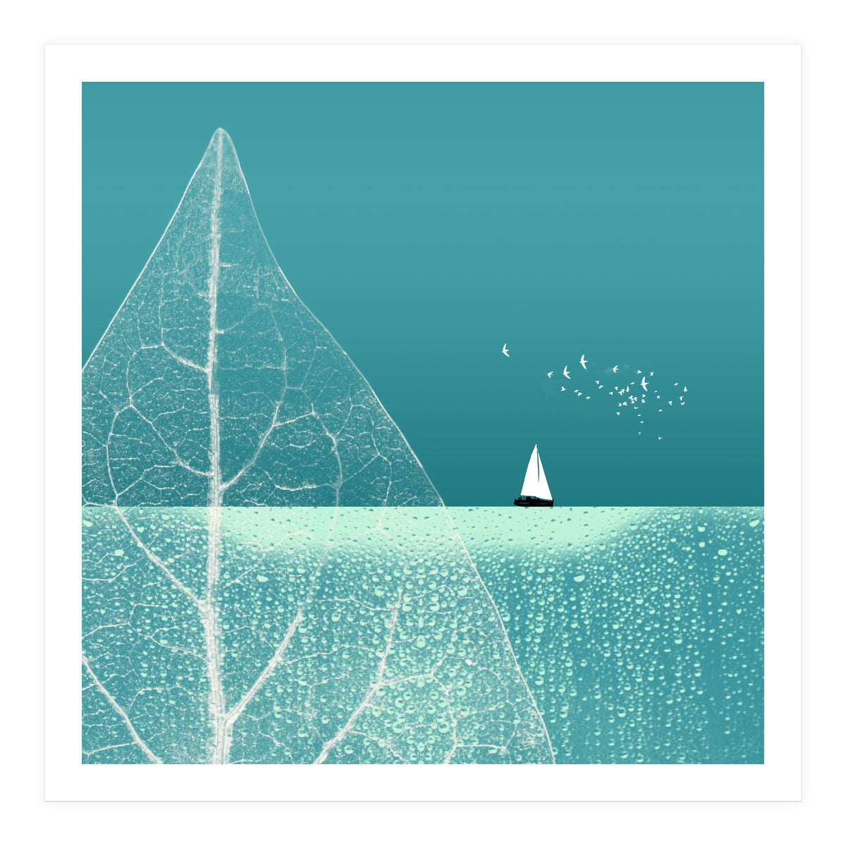 Ocean Wonderland Ii-B  (Print Only)