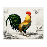 Cock illustrated (Print Only) thumbnail