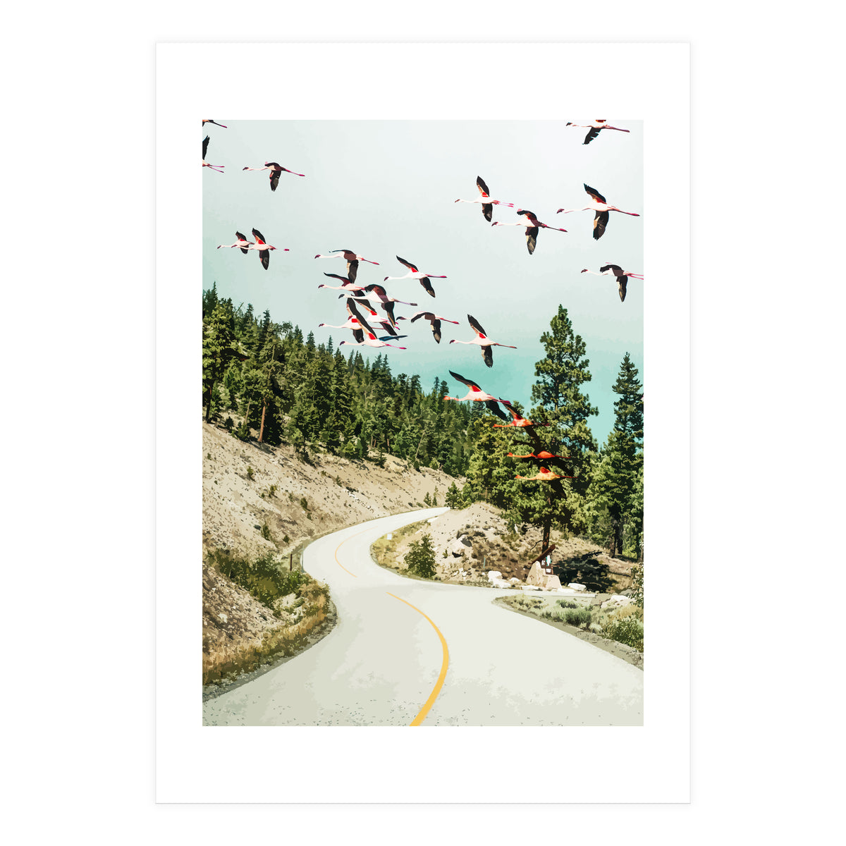 Flamingo Flight (Print Only)
