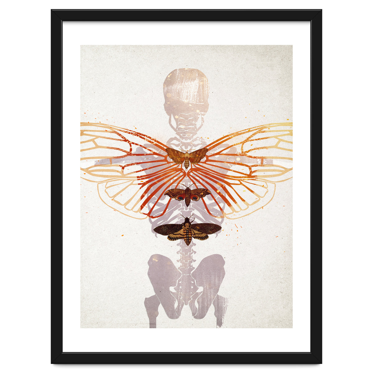 Ikarus - Like a Moth to the Flame