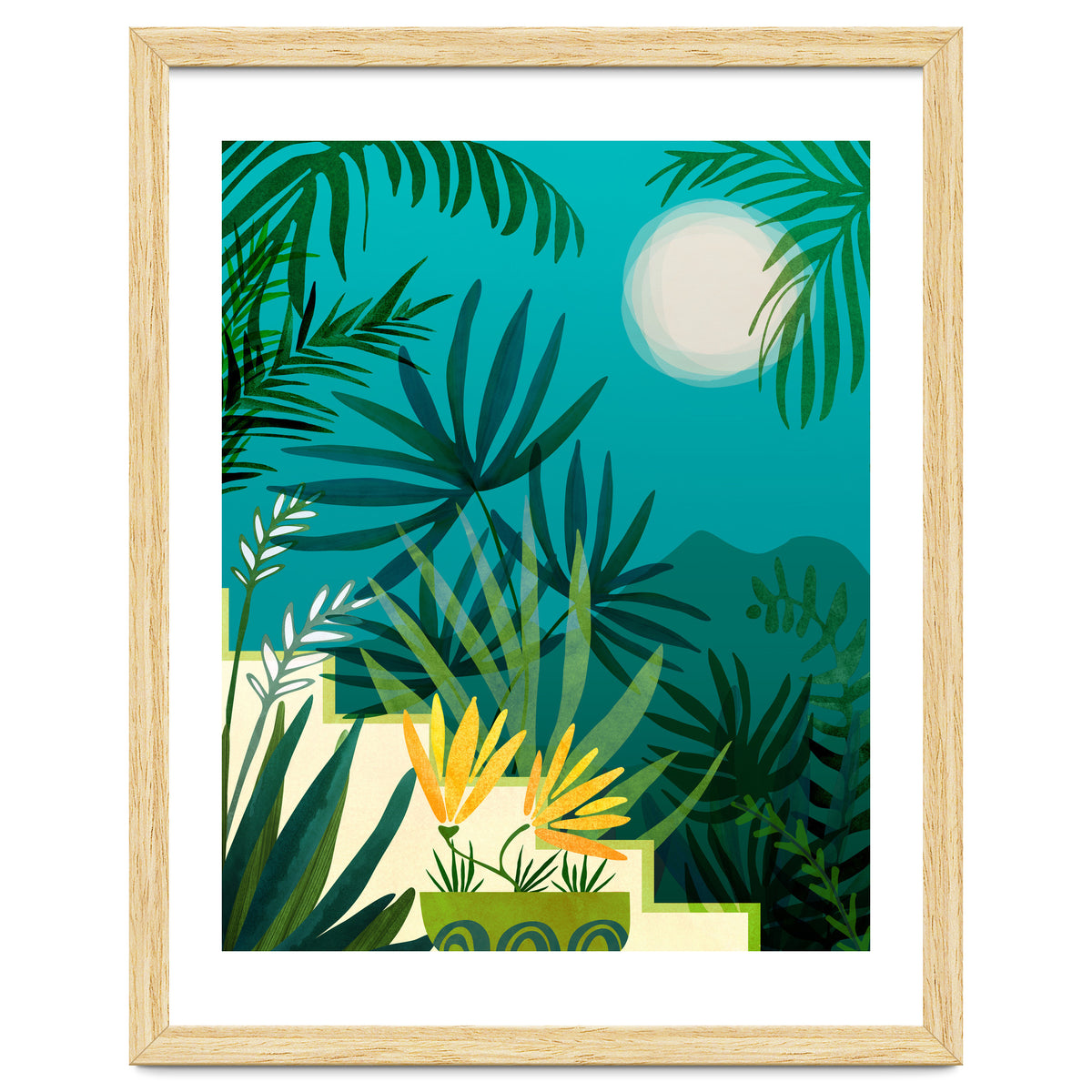 Rainforest With Moonlight