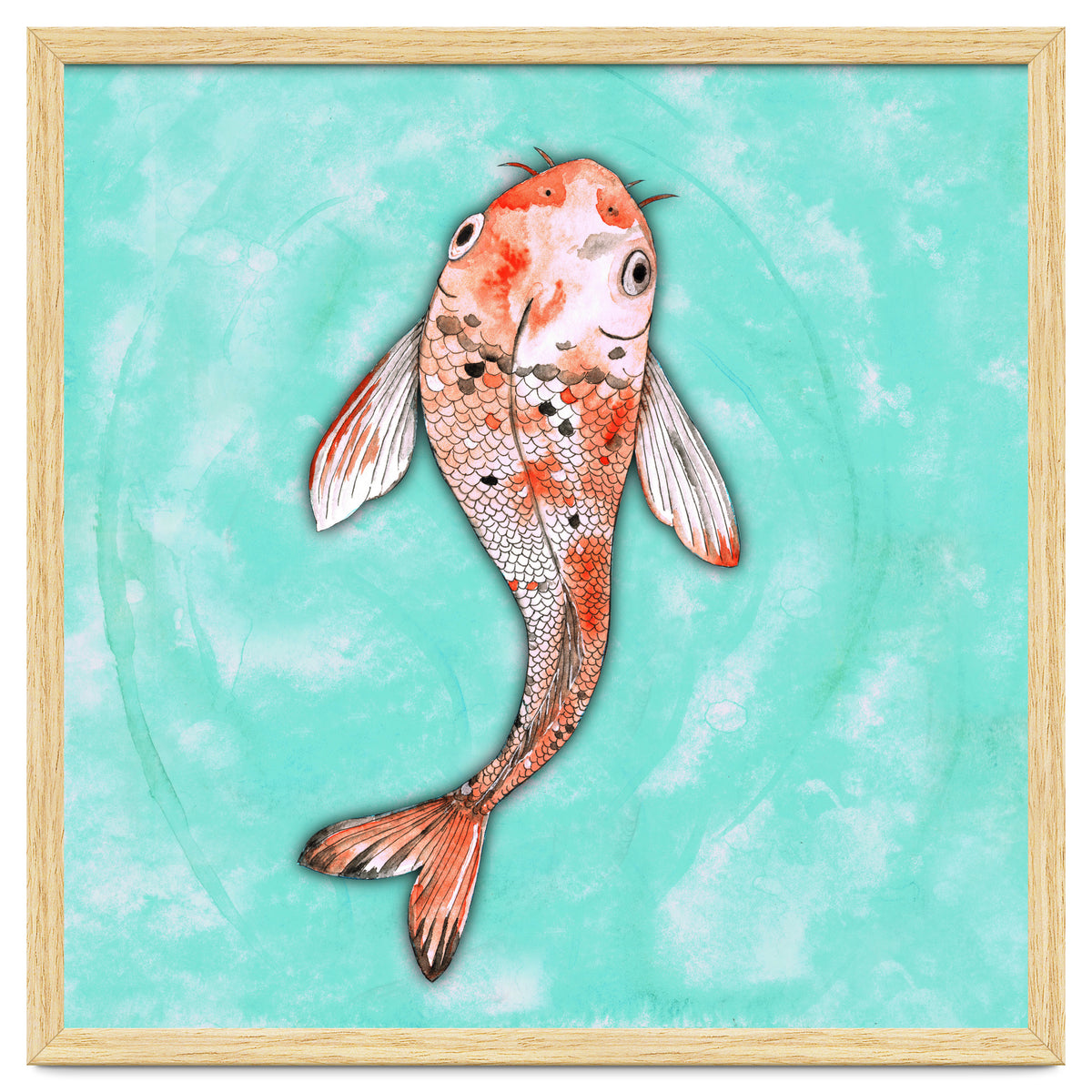 Koi fish