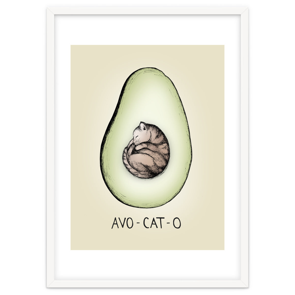 Avo-cat-o